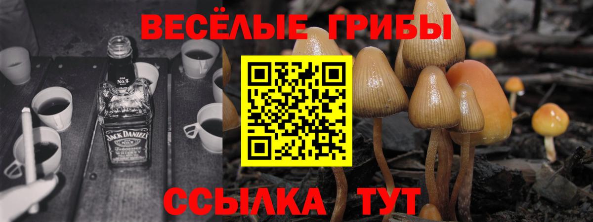 Галлюциногенные грибы Magic Shrooms  хочу наркоту  Томск  Вход с VPN 