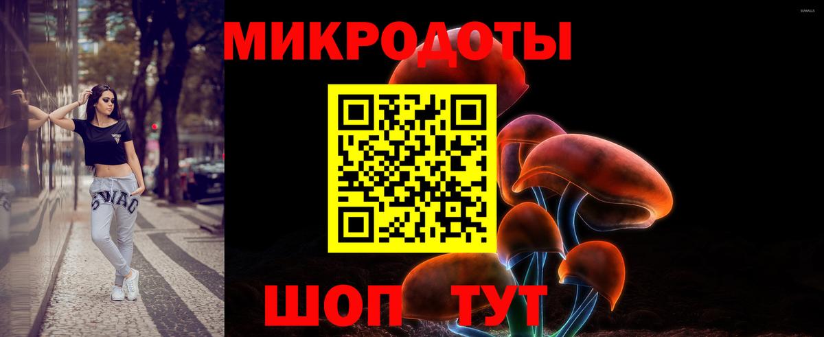Галлюциногенные грибы Magic Shrooms Томск